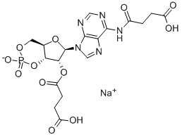 N6,2'-O-DISUCCINYLADENOSINE 3':5'-CYCLIC MONOPHOSPHATE SODIUM SALT 化学構造式