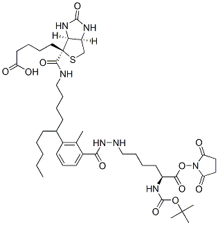N2-t-Boc-N6-(biotinamido-6-N-caproylamido)lysine N-Hydroxysuccinimide Ester, 102910-27-0, 结构式