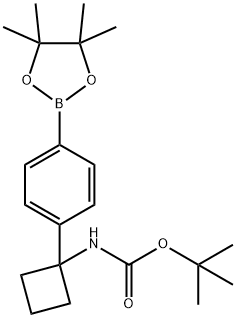 1032528-06-5 1-(4-(4,4,5,5-四甲基-1,3,2-二氧硼戊环-2-基)苯基)环丁基氨基甲酸叔丁酯