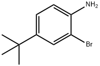 2-ブロモ-4-(tert-ブチル)アニリン 化学構造式