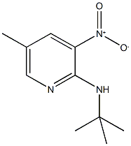 2-t-ButylaMino-5-Methyl-3-nitropyridine Structure
