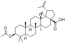 3BETA-ACETOXYBETULINIC ACID Structure