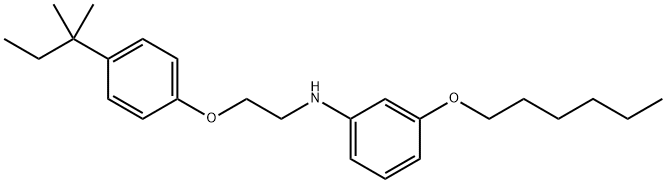3-(Hexyloxy)-N-{2-[4-(tert-pentyl)phenoxy]-ethyl}aniline 结构式