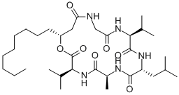 ISARIIN Structure