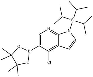 4-氯-5-(4,4,5,5-四甲基-1,3,2-二氧杂环戊硼烷-2-基)-1-(三异丙基甲硅烷基)-1H-吡咯并[2,3-B]吡啶,1045857-94-0,结构式
