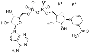 β-Nicotinamide adenine dinucleotide reduced dipotassium Structure