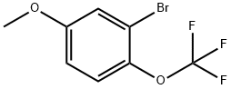 3-bromo-4-trifluoromethoxyanisole Structure
