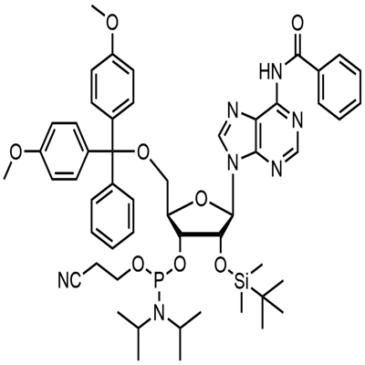 DMT-2'O-TBDMS-rA(bz) Phosphoramidite|N-苯甲酰基-5'-O-(4,4-二甲氧基三苯甲基)-2'-O-[(叔丁基)二甲基硅基]腺苷-3'-(2-氰基乙基-N,N-二异丙基)亚磷酰胺