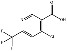 4-クロロ-6-(トリフルオロメチル)ニコチン酸 化学構造式