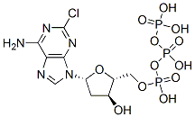 2-chloro-2'-deoxyadenosine triphosphate|克拉屈滨三磷酸