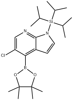 5-クロロ-4-(4,4,5,5-テトラメチル-1,3,2-ジオキサボロラン-2-イル)-1-(トリイソプロピルシリル)-1H-ピロロ[2,3-B]ピリジン 化学構造式