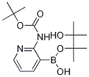 2-(BOC-AMINO)PYRIDINE-3-BORONIC ACID PINACOL ESTER Structure