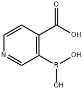 3-Boronoisonicotinic acid 化学構造式