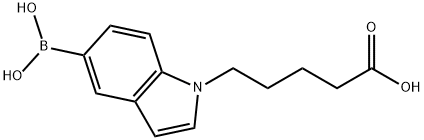 1-(4-カルボキシブチル)インドール-5-ボロン酸 化学構造式