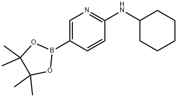 6-(CYCLOHEXYLAMINO)PYRIDINE-3-BORONIC ACID PINACOL ESTER Struktur