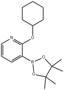 2-シクロヘキシルオキシピリジン-3-ボロン酸ピナコールエステル 化学構造式