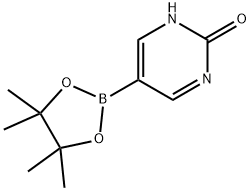 2-羟基嘧啶-5-硼酸频哪酯 结构式