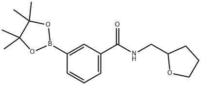 3-(Tetrahydrofurfurylaminocarbonyl)benzeneboronic acid pinacol ester Struktur