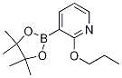 2-PROPOXYPYRIDINE-3-BORONIC ACID PINACOL ESTER Structure