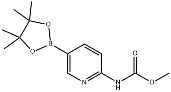 2-Methoxycarbonylaminopyridine-5-boronic acid, pinacol ester, 97% Structure