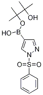 1-Phenylsulfonyl-1H-pyrazole-4-boronic acid pinacol ester 化学構造式