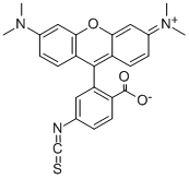 107347-53-5 四甲基罗丹明-5(6)异硫氰酸酯