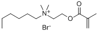 N-己基-N-甲基丙烯酰氧基-N,N-二甲氨基溴化铵 结构式