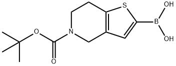 5-(tert-butoxycarbonyl)-3a,4,5,6,7,7a-hexahydrothieno[3,2-c]pyridin-2-ylboronic acid Struktur