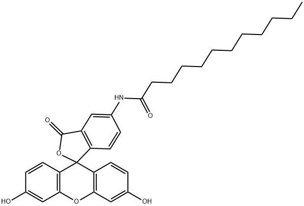 5-ドデカノイルアミノフルオレセイン 化学構造式