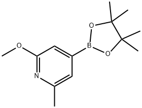 2-Methoxy-6-methyl-4-(4,4,5,5-tetramethyl-1,3,2-dioxaborolan-2-yl)pyridine Struktur