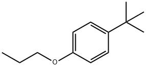 1-TERT-BUTYL-4-PROPOXYBENZENE Struktur