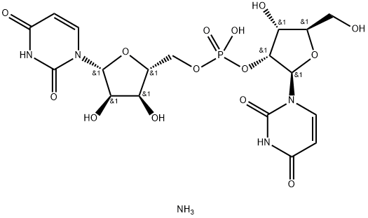 尿苷单磷酸-2'-5'-尿苷铵盐 结构式