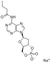 N6-MONOBUTYRYL-2'-DEOXYADENOSINE 3':5'-CYCLIC MONOPHOSPHATE SODIUM SALT Struktur