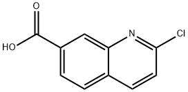 2-Chloro-7-quinolinecarboxylic acid Struktur