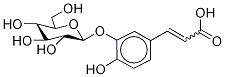Caffeic Acid 4-β-D-Glucuronide Struktur