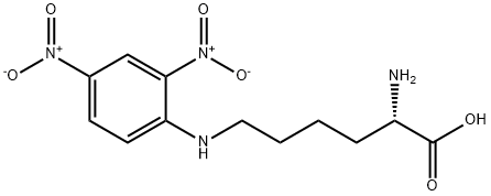 epsilon-dinitrophenyllysine