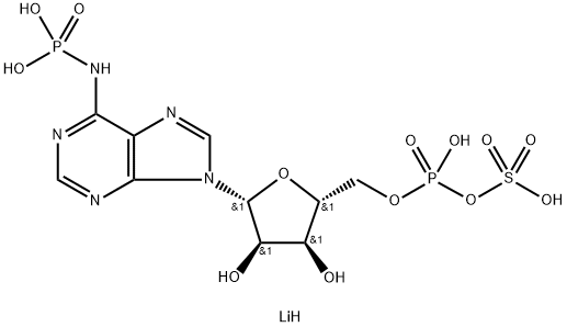 ADENOSINE 3'-PHOSPHATE 5'-PHOSPHOSULFATE  LITHIUM Struktur