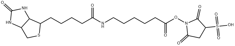 スルホスクシンイミジル N-(D-ビオチニル)-6-アミノヘキサン酸 化学構造式