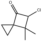 110079-16-8 Spiro[2.3]hexan-4-one,  5-chloro-6,6-dimethyl-