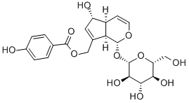 Agnuside Structure