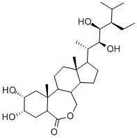 22S,23S-ホモブラッシノリド 化学構造式