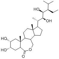 22(S),23(S)-HOMOBRASSINOLIDE Structure