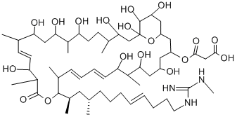 Scopafungin Structure