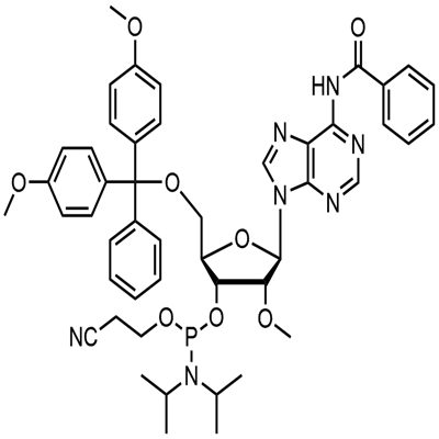 N-苯甲酰基-5'-O-(4,4-二甲氧基三苯甲基)-2'-O-甲基腺苷-3'-(2-氰基乙基-N,N-二异丙基)亚磷酰胺