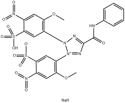 5-(フェニルアミノカルボニル)-2-(2-メトキシ-4-ニトロ-5-ソジオオキシスルホニルフェニル)-3-(2-メトキシ-4-ニトロ-5-スルホナトフェニル)-2H-テトラゾール-3-イウム 化学構造式