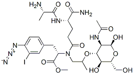 N-acetylmuramyl-alanyl-isoglutaminyl-(3'-iodo-4'-azidophenylalanine) methyl ester|