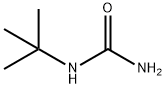 TERT-BUTYLUREA Structure