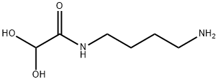 Acetamide, N-(4-aminobutyl)-2,2-dihydroxy- (9CI) Structure
