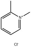 1,6-dimethylpyridine chloride Structure