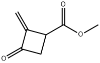 Cyclobutanecarboxylic acid, 2-methylene-3-oxo-, methyl ester (9CI) Struktur
